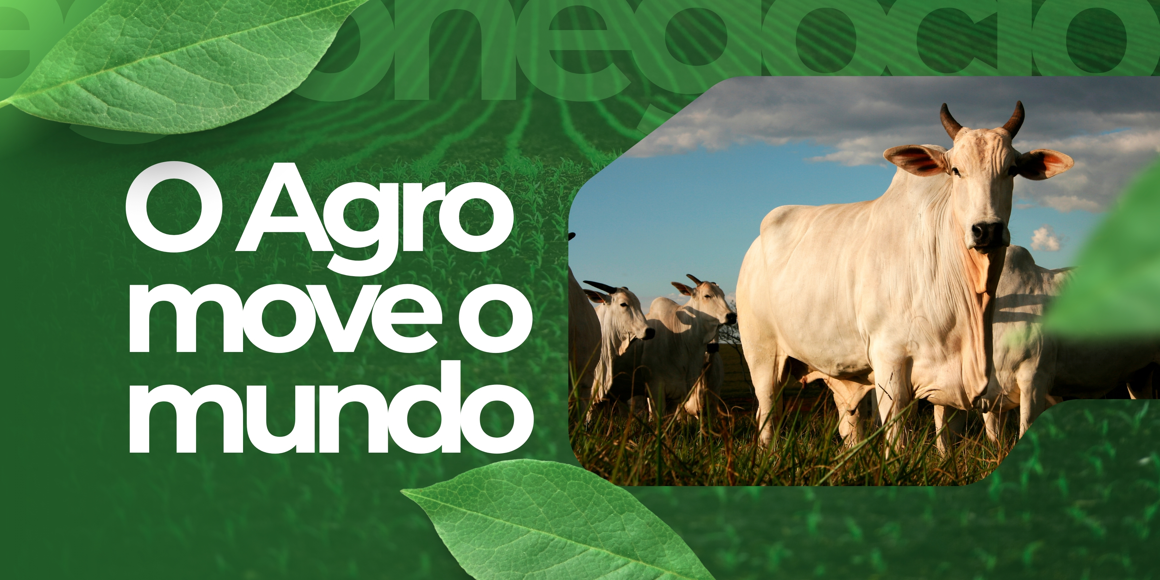 O Agro move o mundo