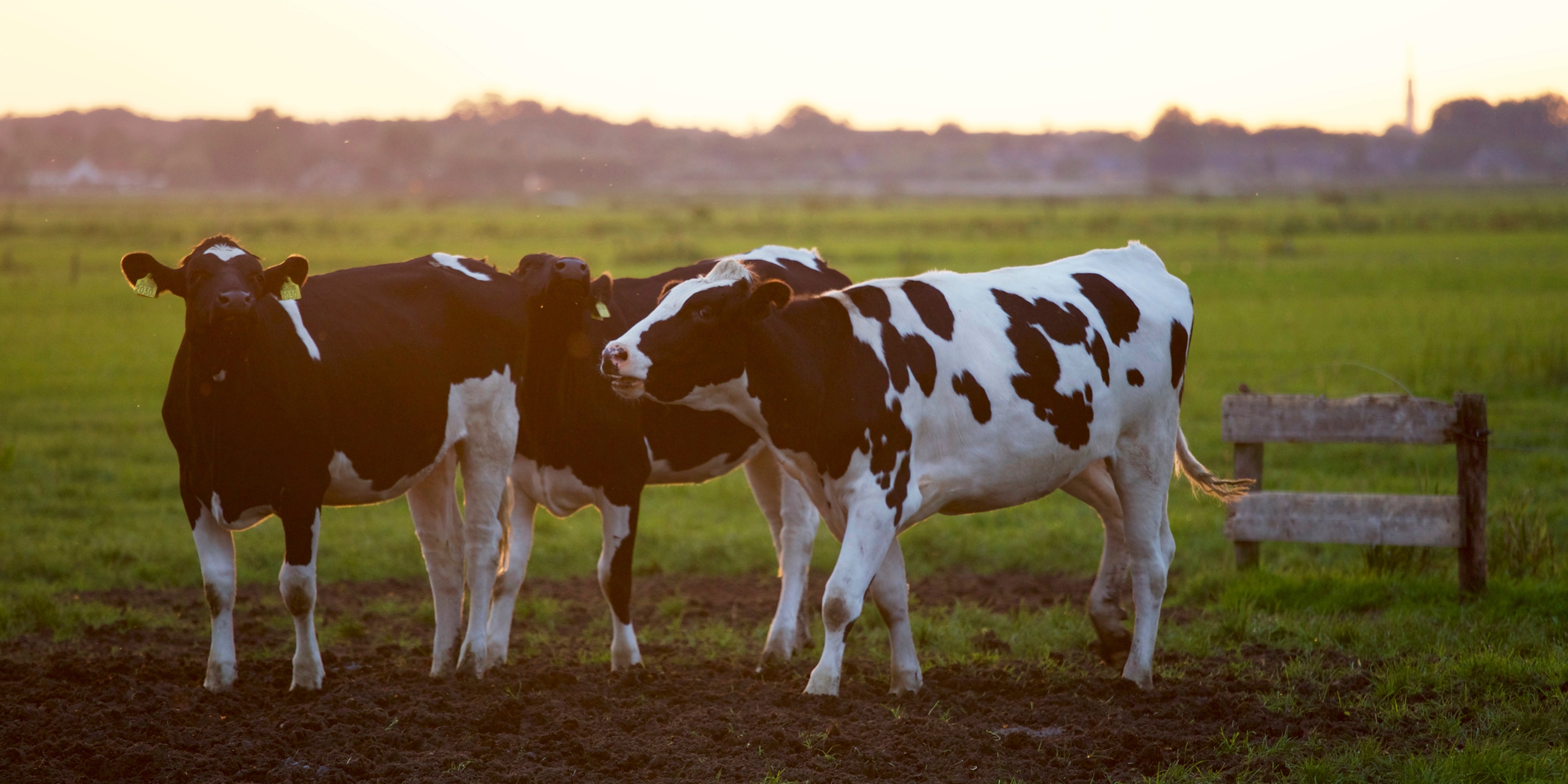 Tecnologia na agricultura